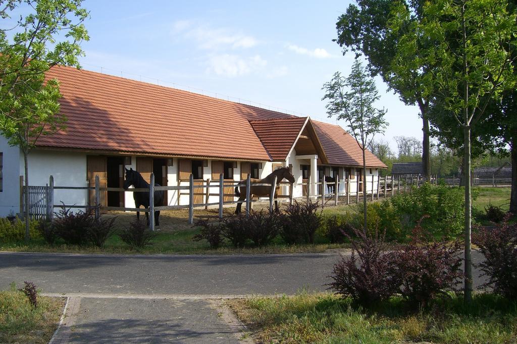 Sarlospuszta Club Hotel Tatárszentgyörgy Exteriér fotografie