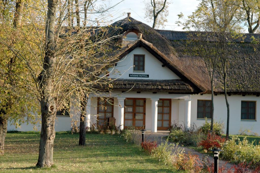 Sarlospuszta Club Hotel Tatárszentgyörgy Pokoj fotografie